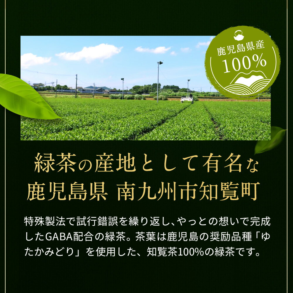 国産 GABA 茶 ギャバ 緑茶 3g×25包 GABA茶 鹿児島県産 知覧茶 健康茶 ティーバッグ 飲みやすい 送料無料 ゆたかみどり 残留農薬検査済 農薬化学肥料不使用 除草剤不使用 グルタミン酸 アミノ酸 人気 おすすめ リラックス 健康 4510