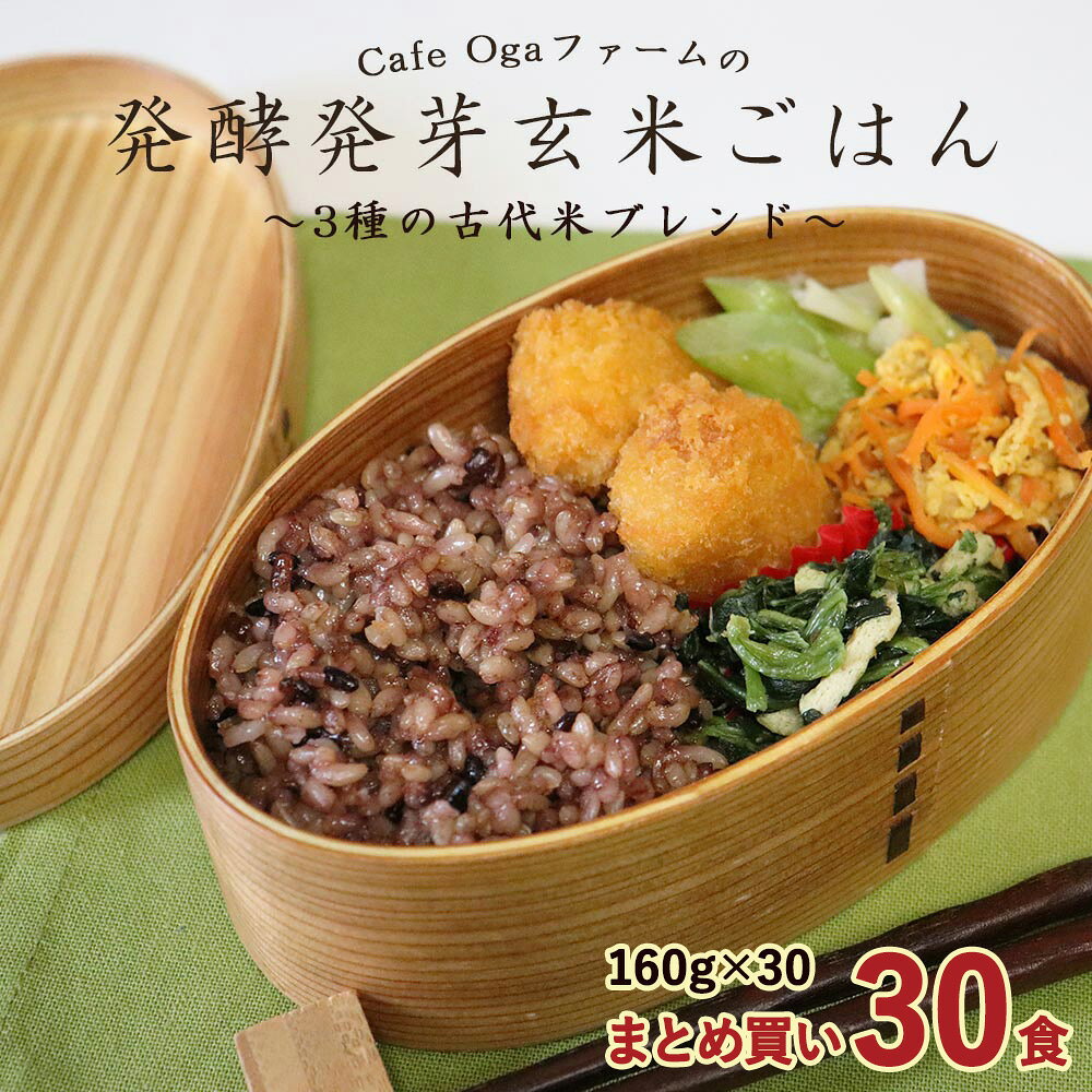 発酵発芽玄米 パックご飯 160g×30食 発酵玄米 食塩不使用 国産 有機JAS 有機玄米 ...