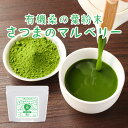 【LINE登録で20％OFFクーポン】国産 桑の葉 粉末 (100g) 桑の葉茶 オーガニック 桑の葉粉末 パウダー 青汁 有機JAS 無添加 鹿児島県産 有機 ダイエット 糖質 制限 対策 ノンカフェイン 食物繊維 スムージー 葉酸 アミノ酸 健康 茶 野菜不足