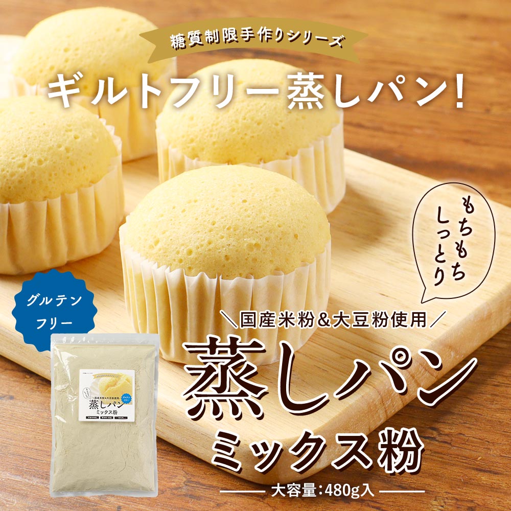 蒸しパン ミックス粉 (480g) 低糖質 パン 糖質制限 低糖 おやつ おやつ 手づくり 手作り お菓子 簡単 もちもち蒸しパン 手作り蒸しパン 国産 大豆粉 おからパウダー 米粉 グルテンフリー ダイエット 小麦粉・合成甘味料・保存料着色料不使用 子ども 4510 TSG