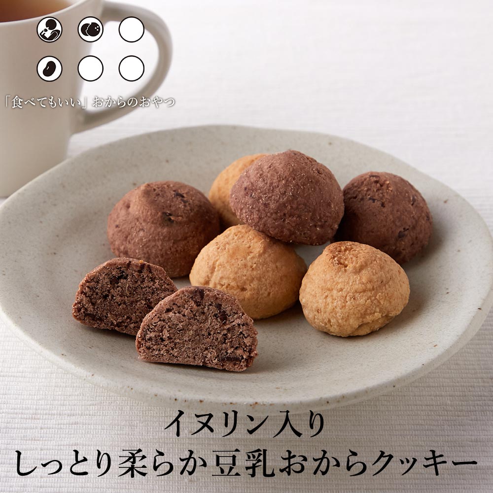 【LINE登録で20％OFFクーポン】イヌリン入り ソフト豆乳おからクッキー 2種ミックス 500g 送料無料 おから クッキー 訳あり スイーツ 置き換え ダイエット