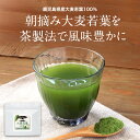 【LINE登録で20％OFFクーポン】大麦若葉 健康 青汁 国産 100g 鹿児島県産 無添加 農薬不使用 料理 朝摘み パウダー 粉末 健康 野菜 栄養 食物繊維 牛乳 スムージー 置き換え ドリンク スープ レシピ 美容 送料無料