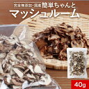 乾燥野菜 国産 無添加 簡単ちゃんと マッシュルーム 40g ブドウ糖不使用 乾燥きのこ 乾燥キノコ 長期保存 保存食 味噌汁の具 みそ汁の具 干し野菜 送料無料 ドライ野菜 やさい アヒージョ ブラウンマッシュルーム 山形 レビュー特典 nkdy