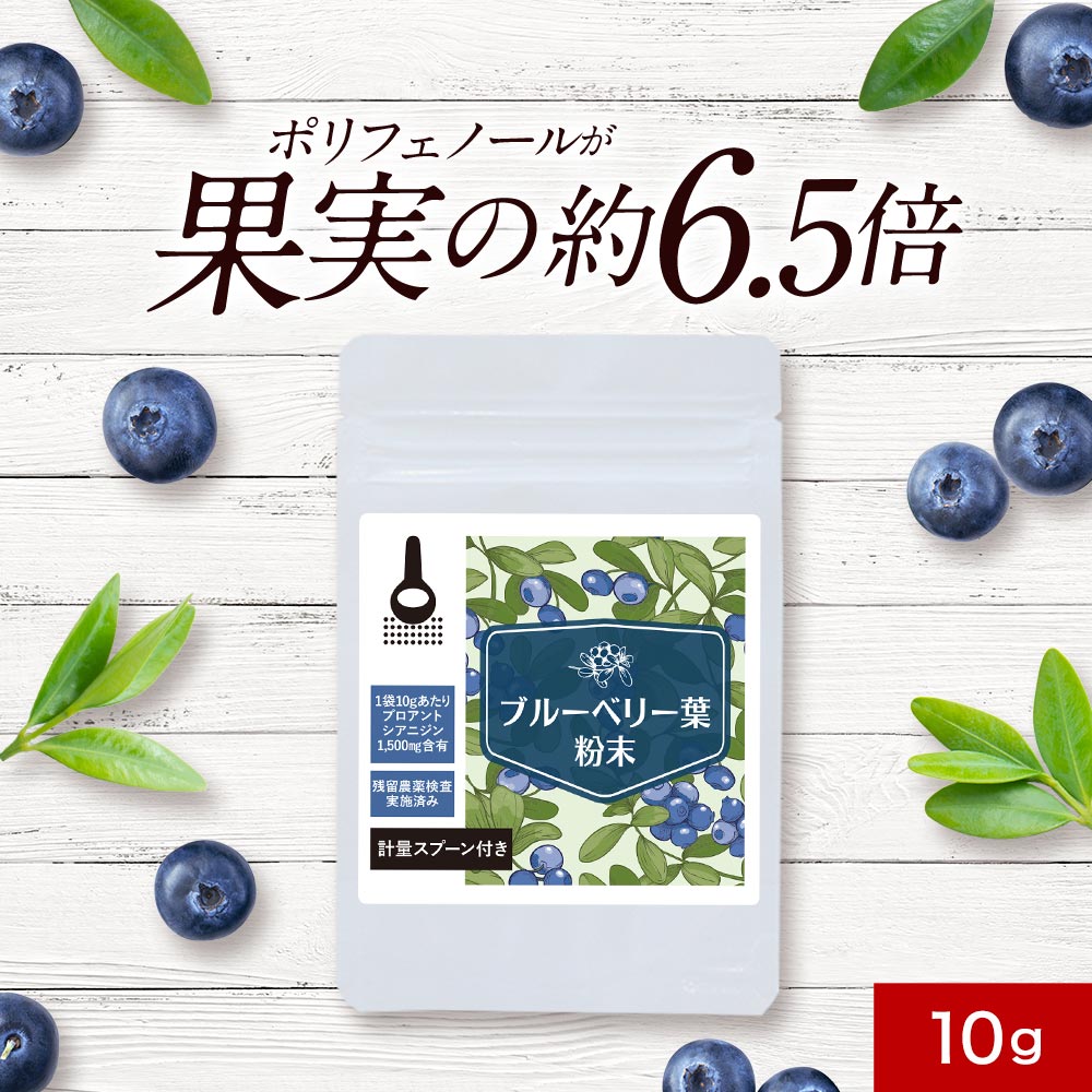 【LINE登録で20％OFFクーポン】ブルーベリー サプリ 葉 粉末 10g 国産 ルテイン 送料無料 宮崎県産 無農薬 安全 ポリフェノール 送料無料 ORAC値 ブルーベリー パウダー 美容 健康 カテキン アントシアニン 国内製造 保存料 着色料 農薬 不使用