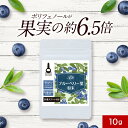 【LINE登録で20％OFFクーポン】ブルーベリー サプリ 葉 粉末 10g 国産 ルテイン 送料無料 宮崎県産 無農薬 安全 ポリフェノール 送料無料 ORAC値 ブルーベリー パウダー 美容 健康 カテキン アントシアニン 国内製造 保存料 着色料 農薬 不使用