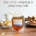 【ポイント10倍】ブルーベリーのはちみつ 250g（125g×2袋） 100％純粋 キャップ付き スタンドパック 袋パッケージ カナダ産 蜂蜜 抗菌作用