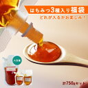 【全品対象15％OFFクーポン】福袋 食品 （総重量 750