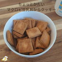 【ポイント10倍】おからクッキー 訳あり ちょっとだけかたい マクロビ 豆乳 おからクッキー 500g おからクッキー 硬い クッキー ダイエット お菓子 ダイエット クッキー 硬いクッキー おやつ ダイエット食品 送料無料