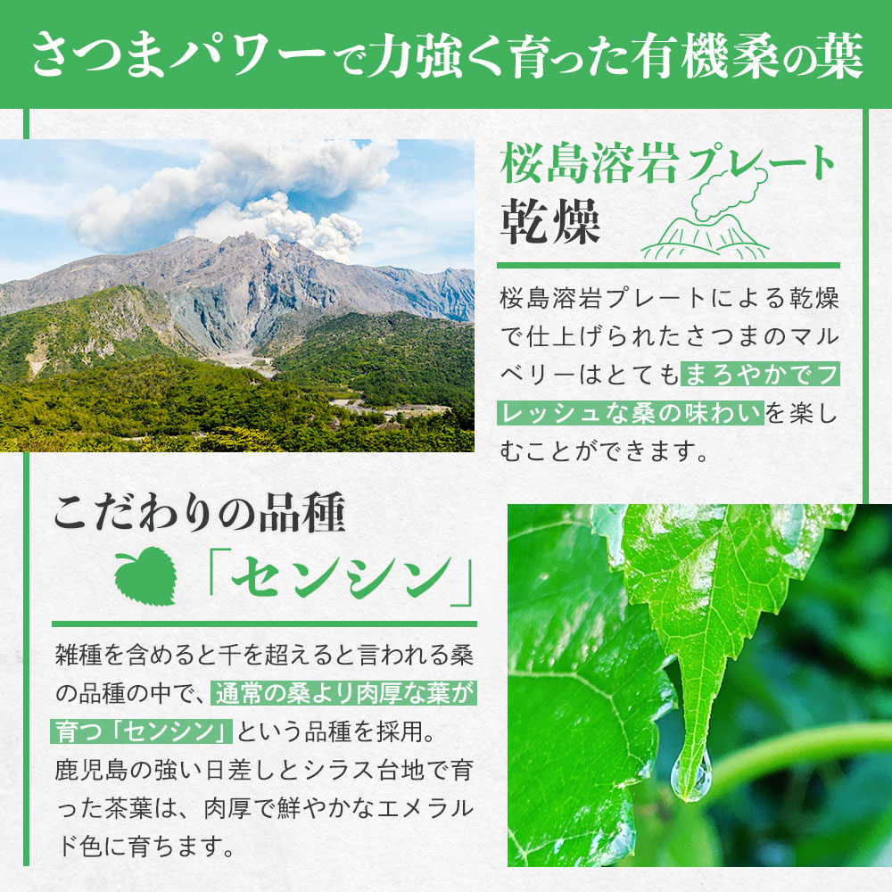 国産 桑の葉 粉末 (100g) 桑の葉茶 オーガニック 桑の葉粉末 パウダー 青汁 有機JA...
