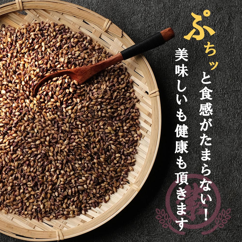 もち麦 無農薬 有機 紫もち麦 500g オーガニック 皮付 もちむぎ 国産 もち麦ごはん もち麦満腹 送料無料 持ち麦 ダイシモチ 餅麦 食物繊維 タンパク質 栄養 健康 低GI アントシアニン ダイエット natumart-10005341 natumart-ナチュマート- サンプル画像3