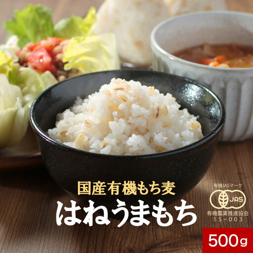 有機 もち麦 はねうまもち国産 有機 オーガニック 500g 持ち麦 餅麦 食物繊維 タンパク質 栄養 健康 低GI ダイエット もち麦ごはん 送料無料 有機 もち麦 はねうまもち国産 有機 オーガニック 500g 持ち麦 餅麦 食物繊維 タンパク質 栄養 健康 低GI ダイエット もち麦ごはん 送料無料