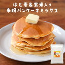 パンケーキミックス 480g 北海道産 はと麦 九州産 玄米 使用 米粉 パンケーキミックス サトウキビ原料100% 島砂糖 放射性検査済 アルミ不使用 小麦不...