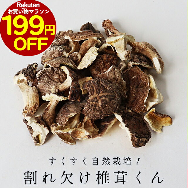 大分産　どんこ椎茸　天日干し仕上げ（55g）／YT－15