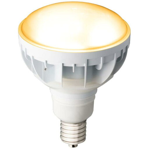 岩崎LEDライトバルブ LDR30L-H-E39/W827 岩崎LEDライトバルブ LDR30L-H-E39/W827