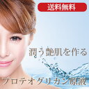 高濃度原液専門店 プロテオグリカン原液(30ml)...
