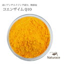 [化粧品原料]コエンザイムQ10（2g)