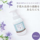 【天然成分100%】FK ハンドソープ 300mL ボトル 福知山キキョウ | 保育園 子供用 本体 敏感肌 石けん 弱アルカリ 肌に優しい 泡タイプ 無添加手...