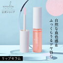 [キボ] ジューシーリッププラスプランパー #チェスナット・49531 コスメ cosme 【MAKEUP】Keybo リップ 口紅 リッププランパー ヒアルロン酸 水分 オイル コーラル オレンジ 韓国 韓国コスメ キボ