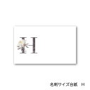 H アルファベット アクセサリー台紙 55×91mm 名刺サイズ 40枚