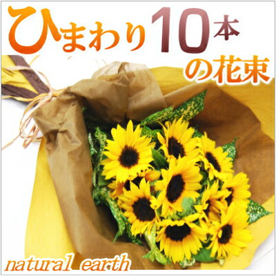 ひまわり ひまわり10本の花束向日葵　サンフラワー　花　花束　ギフト　メッセージカード無料　楽ギフ_包装　楽ギフ_メッセ入力　鮮度保持剤　楽ギフ_ メッセージカード　父の日　母の日　お供え