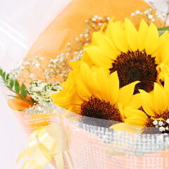 https://thumbnail.image.rakuten.co.jp/@0_mall/natural-e/cabinet/00995710/sun_flower_001.jpg