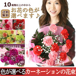 カーネーションの花束 誕生日　母の日　花束　カーネーション　送料無料敬老の日　父の日　お供えカード代筆OK【メッセージカード無料】【楽ギフ_メッセ入力】