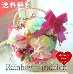 https://thumbnail.image.rakuten.co.jp/@0_mall/natural-e/cabinet/01100879/rca2023.jpg