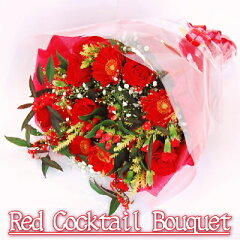 https://thumbnail.image.rakuten.co.jp/@0_mall/natural-e/cabinet/eraberu-oiro/cb_red_000.jpg