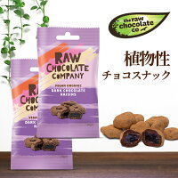 レーズンスナックチョコ 28g×2 オーガニックチョコレート ローチョコレート フェアトレード 乳 製品 不 使用 チョコレート ビーガン コンタミ100%なし 低GI 低糖質 ココナッツシュガー オーガニック クール便