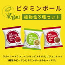 プロテイン＋ビタミン ボール 植物性 3種セット ダイエット お菓子 プロテインバー ビタミンB12 ビタミンC ビタミンD…