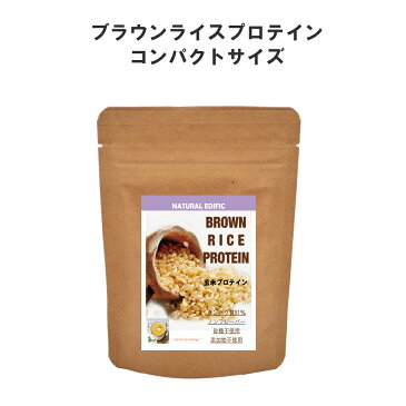 玄米 プロテイン 45g 女性プロテイン 植物性 無添加 砂糖不使用 無糖 子供プロテイン アミノ酸 食物繊維 プロステインパウダー 植物性プロテイン 高タンパク 低カロリー 添加物無し 低アレルギー性 グルテンフリー ビーガン メール便可(\250)