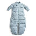 8～24か月向け ergoPouch エルゴポーチ スリープスーツバッグ 8～24か月 ドラゴンフライズ Sleep Suit Bag 3.5 TOG ZEPCO-3.5T 新生児 巻かないおくるみ スワドル オーガニックコットン スリーパー 夜泣き あす楽対応