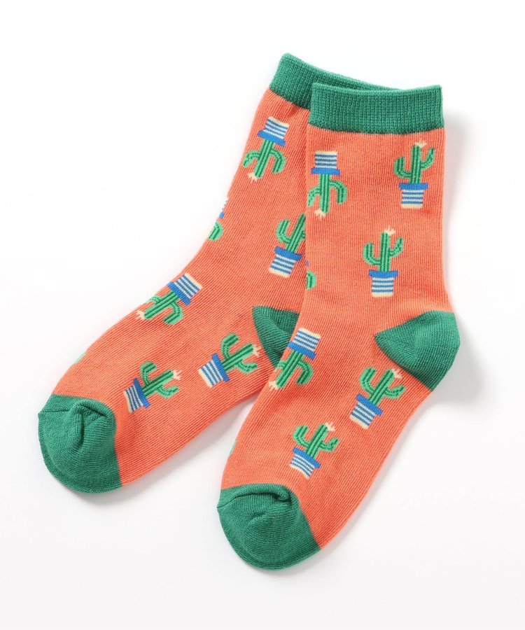 ＼全商品12倍以上！／メール便対応 Ampersand アンパサンド BOYS 総柄ソックス オレンジ/サボテン 10-12cm エフオーインターナショナル 男の子 レッグウェア 靴下 FOインターナショナル