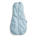 【訳あり・在庫限り・お買い得】 アウトレット ergoPouch エルゴポーチ コクーンスワドルバッグ オールシーズン ニューボーン ドラゴンフライズ Coco...