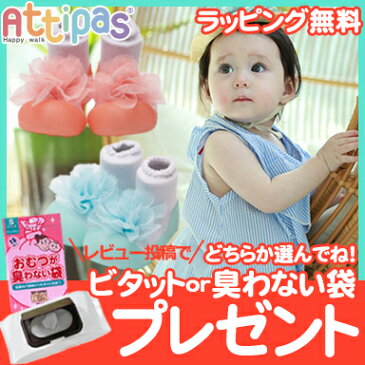 Attipas (アティパス) コサージュ ベビーシューズ ファーストシューズ トレーニングシューズ【あす楽対応】