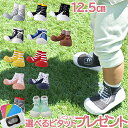 【ポイント★18倍★】Baby feet (ベビーフィート) 12.5cm ベビーシューズ ベビースニーカー ファーストシューズ トレーニングシューズ【あす楽対応】【ナチュラルリビング】