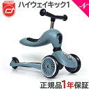 【正規代理店商品】 ハイウェイキック1 Scoot&Ride スクート&ライド ハイウェイキック 1 スチール キッズスクーター キックボード