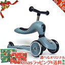 ＼全商品12倍！／正規代理店商品 ハイウェイキック1 Scoot&Ride スクート＆ライド ハイウェイキック 1 スチール キッズスクーター キックボード あす楽対応【ナチュラルリビング】