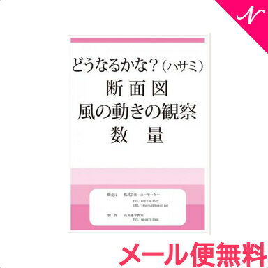 【メール便対応】 スマイルキッズ どうなるかな? ハサミ 断面図 風の動きの観察 数量 ドリル 知育・お受験教材 あす楽対応