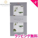 ＼全商品12倍！／【正規品】【ラッピング無料】 ニューキャッスルクラシックス NEWCASTLE CLASSICS コットンスワドル シングル Dino Days おくるみ あす楽対応