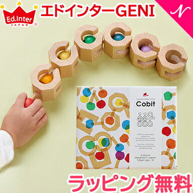 知育玩具  エドインター GENI Connectable Chain Cobit コネクタブル チェーン コビット 6ピース ジェニ 知育玩具 積み木 あす楽対応