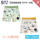 ＼全商品11倍！／UVカット メール便対応 BIT'Z ビッツ 恐竜図鑑総柄 ボクサー水着 80～120cm UVカット F.Oインターナショナル エフオー【ナチュラルリビング】