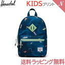 ＼全商品15倍+400円クーポン！／正規品 ポイント10倍 HERSCHEL ハーシェル HERITAGE kids ヘリテージ キッズ Surf's Up リュックサック バックパック 塾 遠足 旅行用 あす楽対応