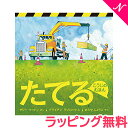 \全商品11倍以上!/絵本 人気 【ラッピング】【のし】 こうじのえほん たてる 福音館書店 絵本 えほん 3歳 小学生