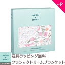 エイデンアンドアネイ おくるみ 正規品 エイデンアンドアネイ aden anais クラシックドリームブランケット モンフルール ma fluer ブランケット あす楽対応