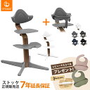 【選べる! レビュープレゼント】 ストッケ ノミ ハイチェア ウォールナット + ベビーセット 2点 セット おこさまから大人まで ノミチェア