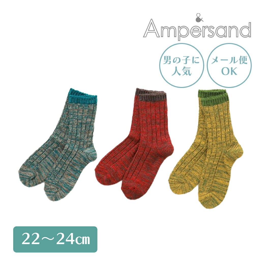 15ܡ᡼б Ampersand ѥ å3På å 22-24cm ե󥿡ʥʥ б
