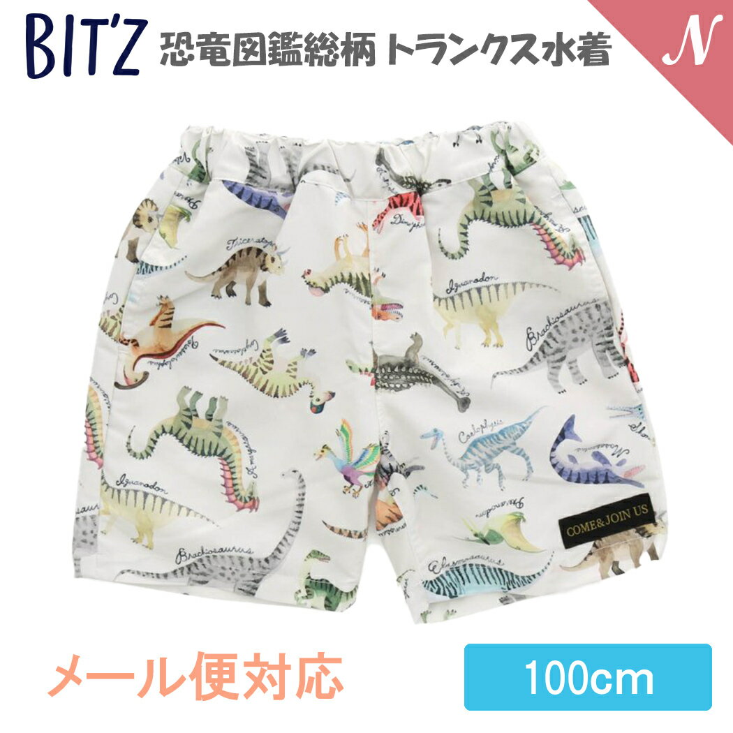 楽天ナチュラルベビー Natural BabyUVカット【メール便対応】 BIT'Z ビッツ 恐竜図鑑総柄 トランクス水着 キナリ 100cm UVカット F.Oインターナショナル エフオー あす楽対応