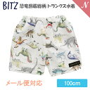 ＼400円クーポン！／UVカット BIT'Z ビッツ 恐竜図鑑総柄 トランクス水着 キナリ 100cm UVカット F.Oインターナショナル エフオー あす楽対応