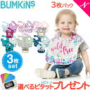 ＼全商品11倍！／＼お買い得 メール便送料無料 バンキンス Bumkins スーパービブ 3枚パック 6ヶ月〜2歳 Special design【ナチュラルリビング】